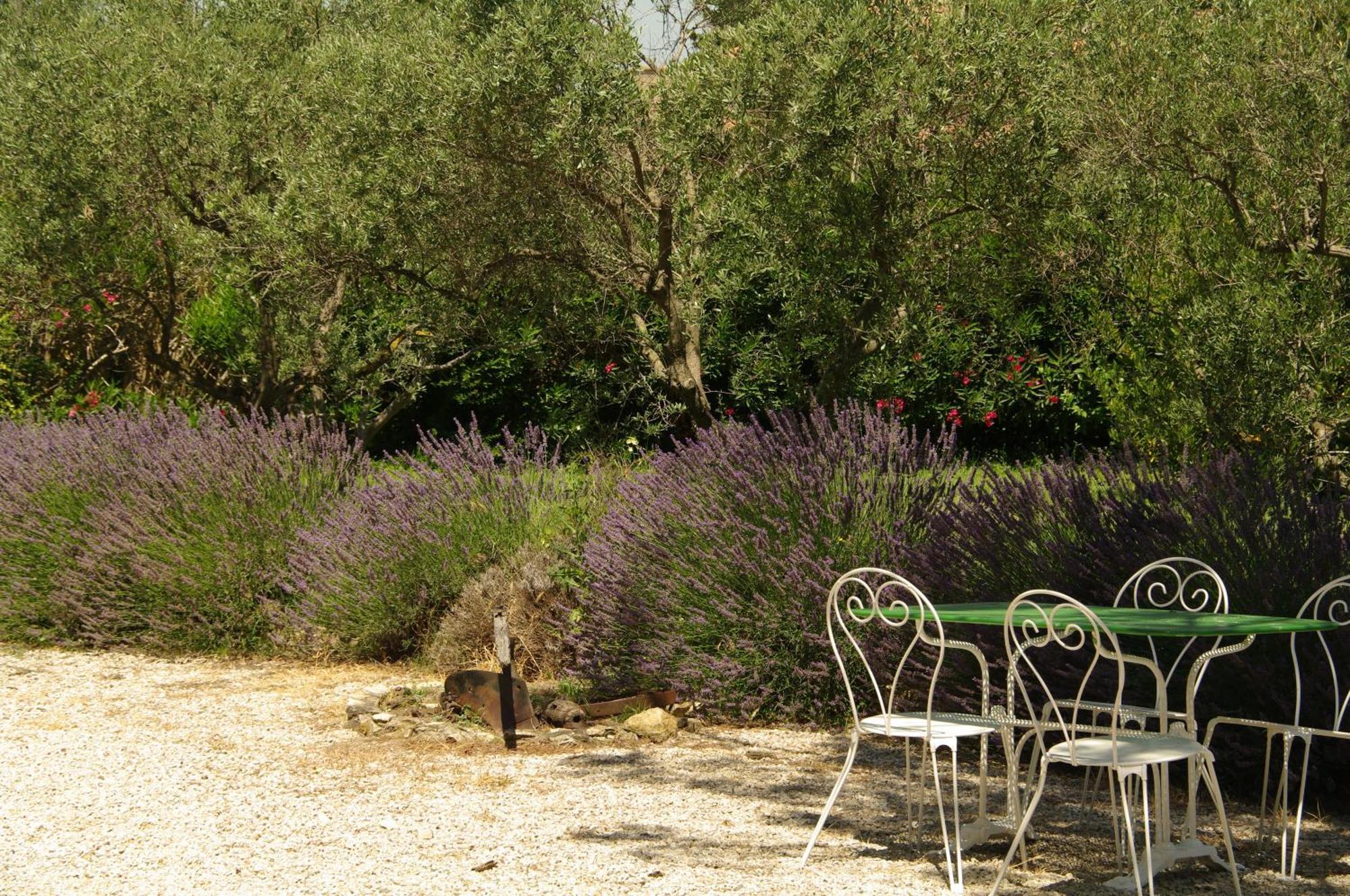 Residence Le Saint Victor Fontvieille Εξωτερικό φωτογραφία